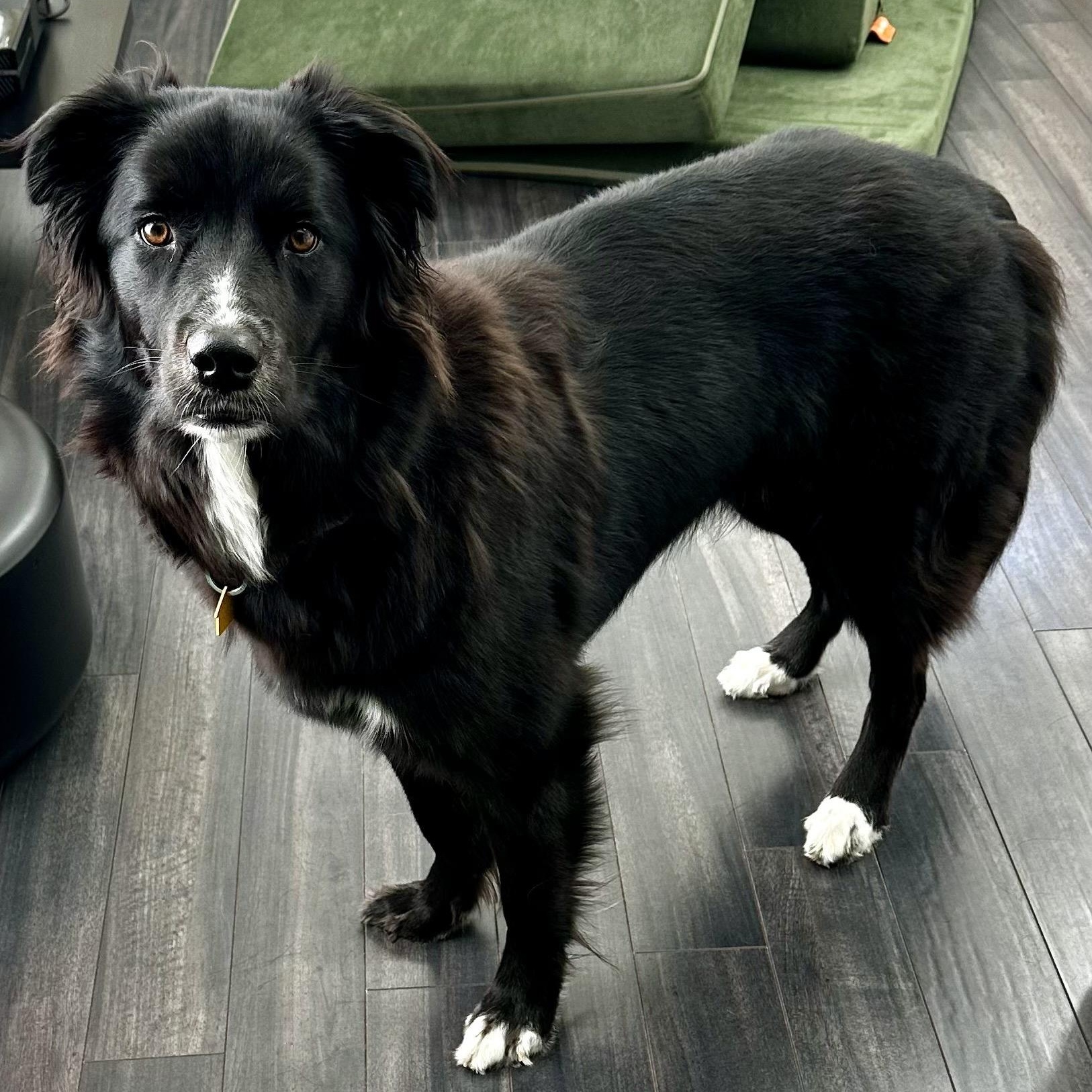 Rory — thumbnail 2