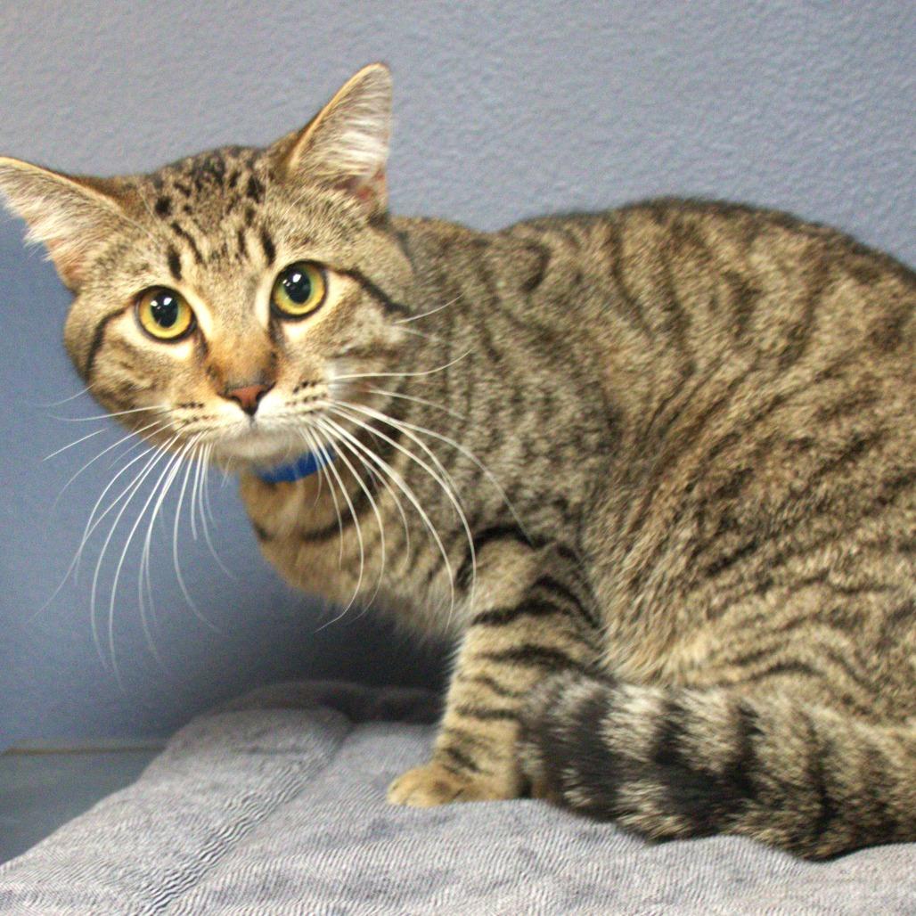 River — thumbnail 2