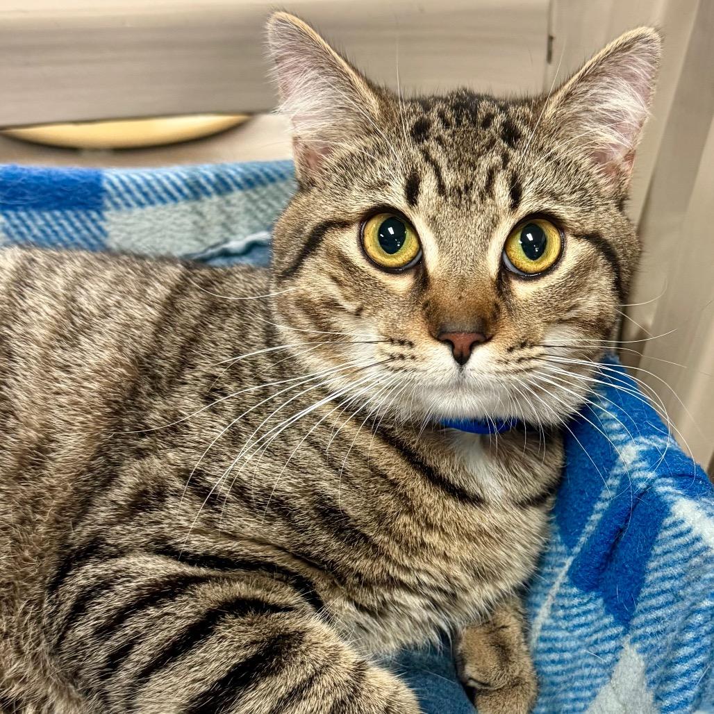 River — thumbnail 3