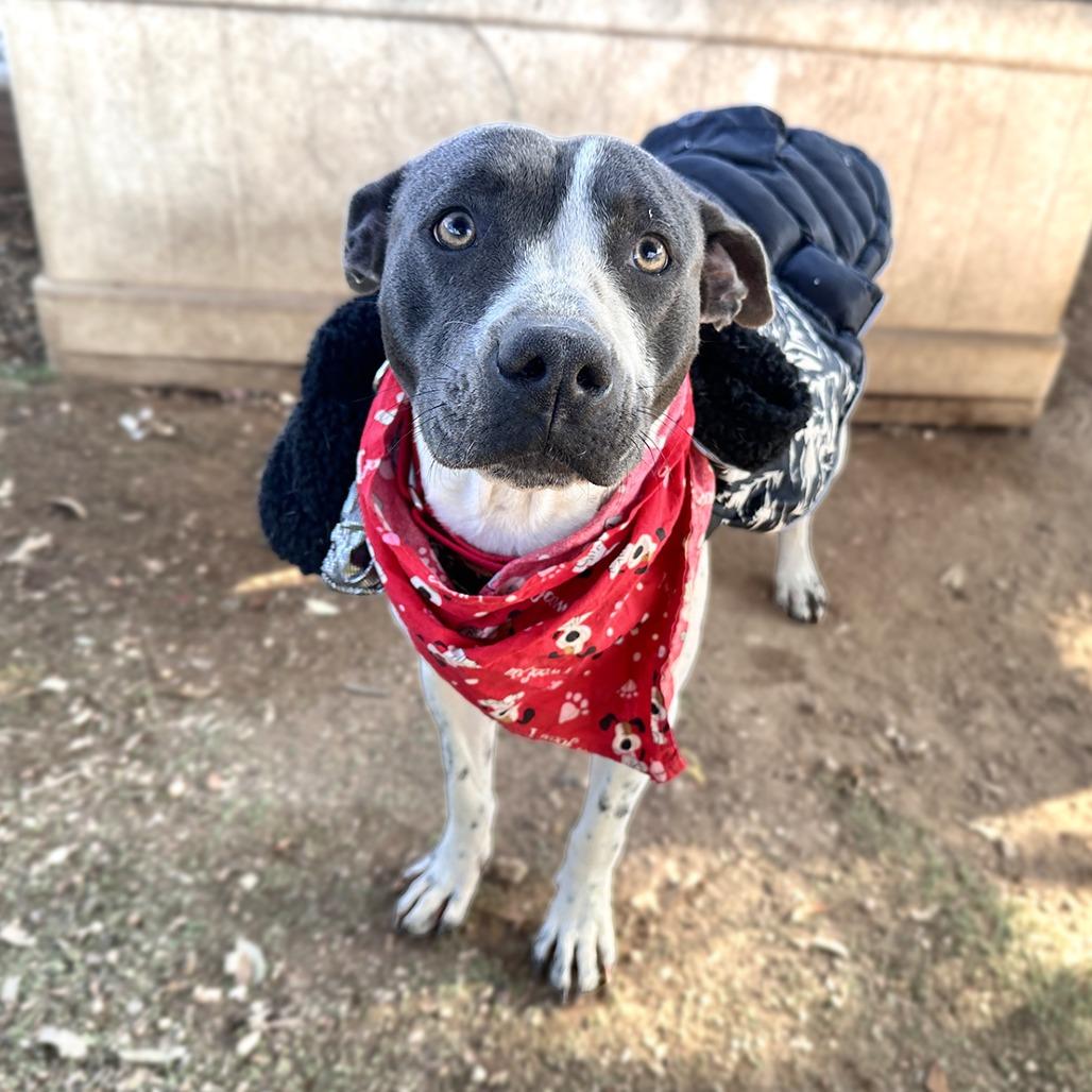 Lillian — thumbnail 6