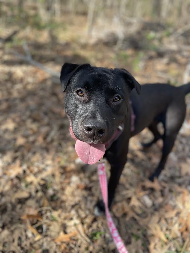 Buzz Lightyear to Infinity and Your Heart