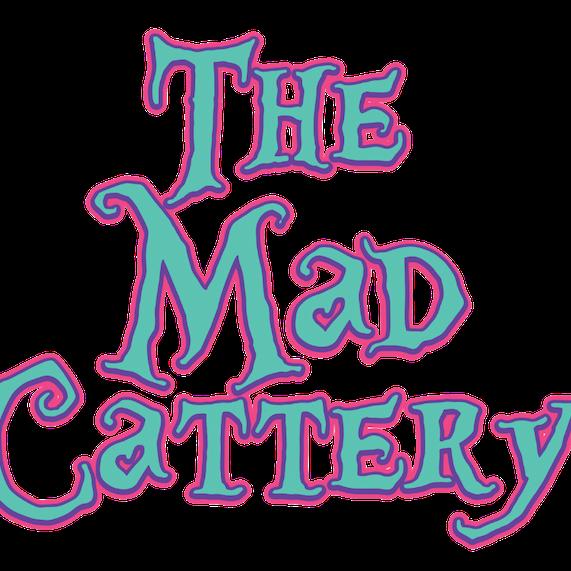 Grayson, a Adoptable Domestic Short Hair in Lake Jackson, TX image 5/5