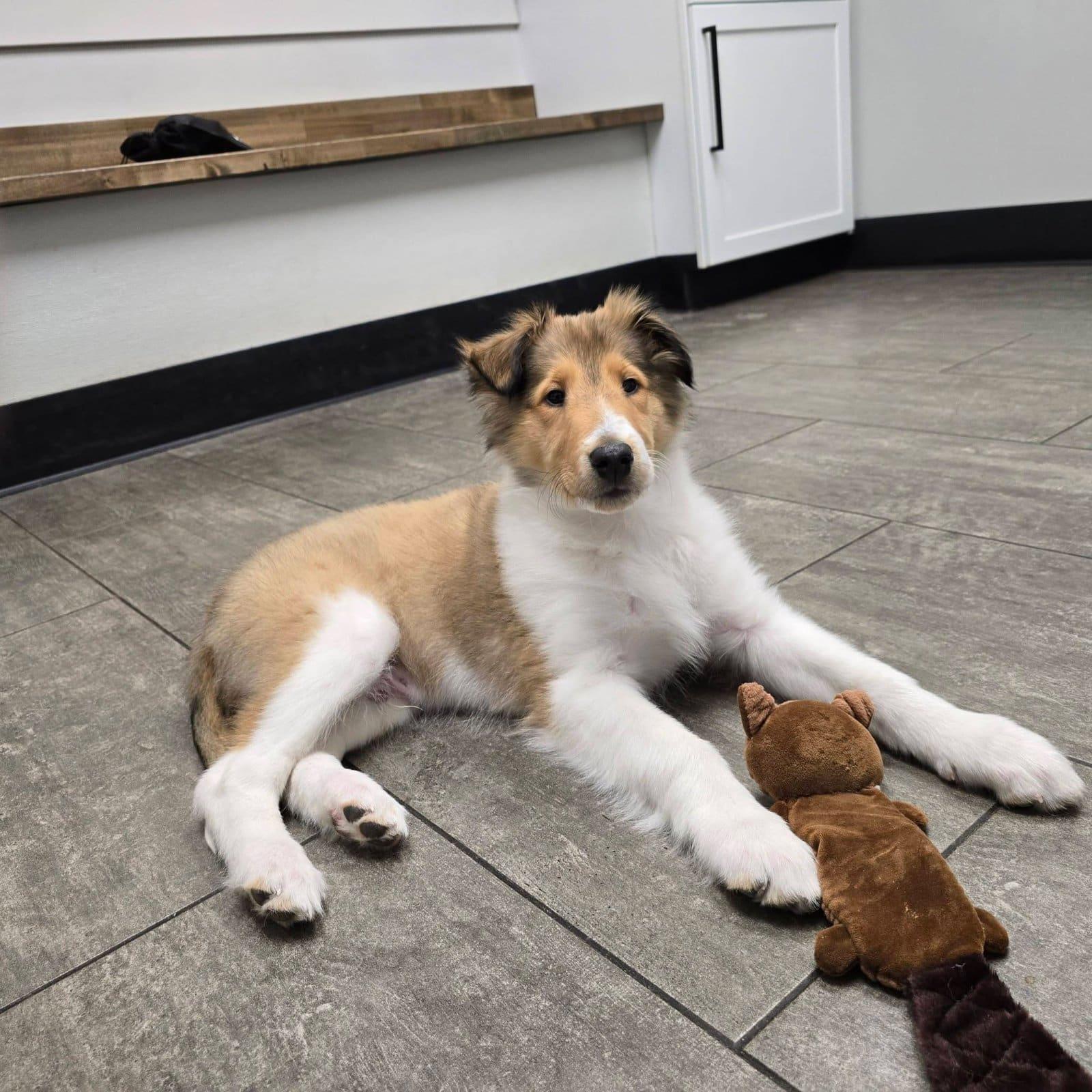 Sundance thumbnail 3