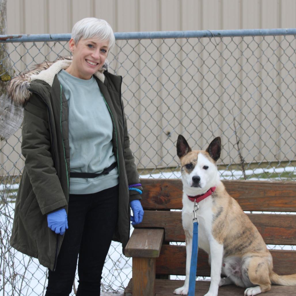 Enlarge Tygren, a Adoptable mixed breed in Champaign, IL image 2/6