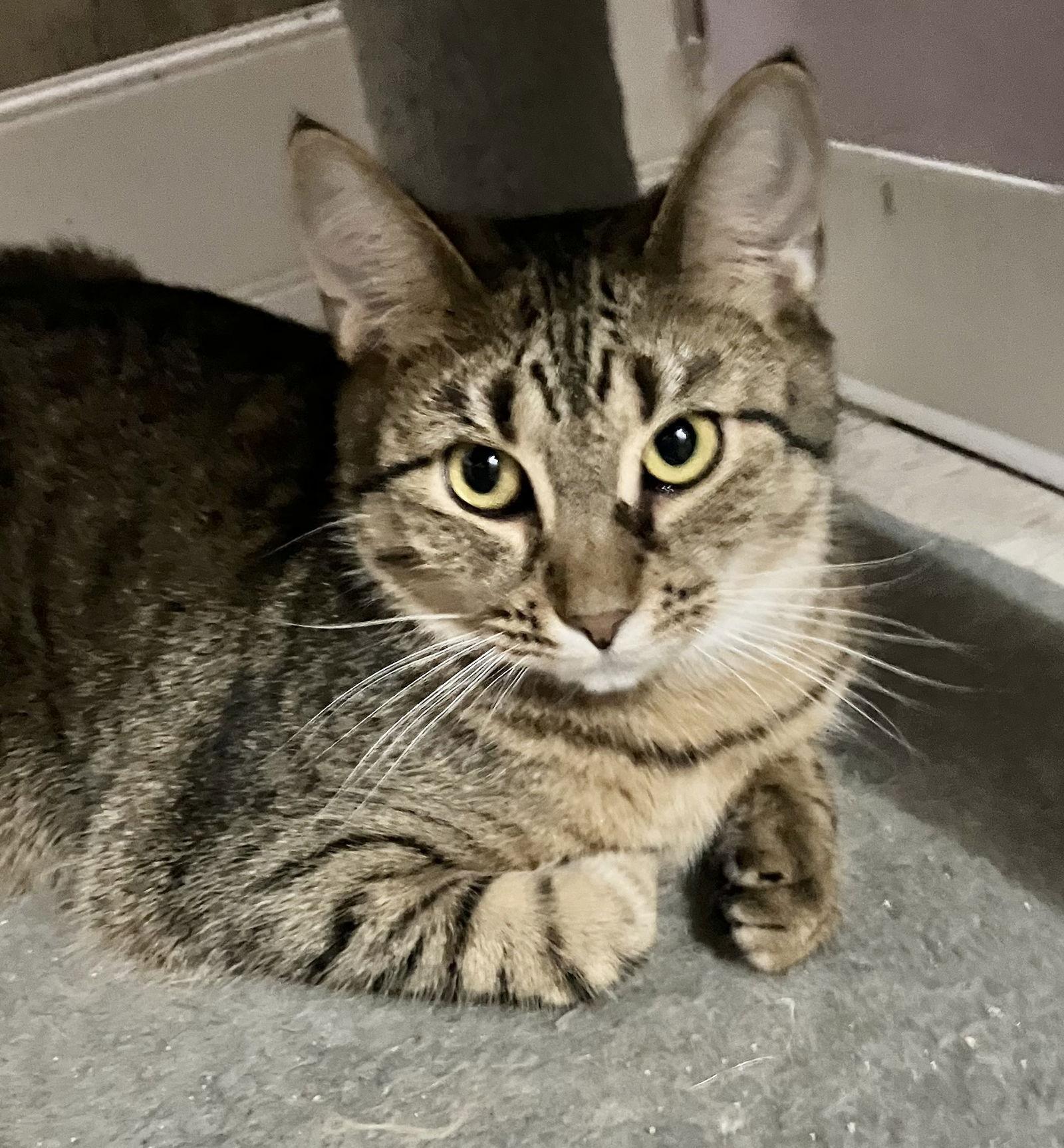 Malarkey thumbnail 2