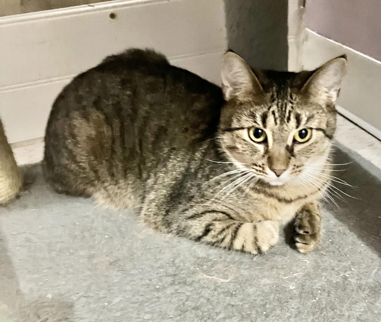 Malarkey thumbnail 3