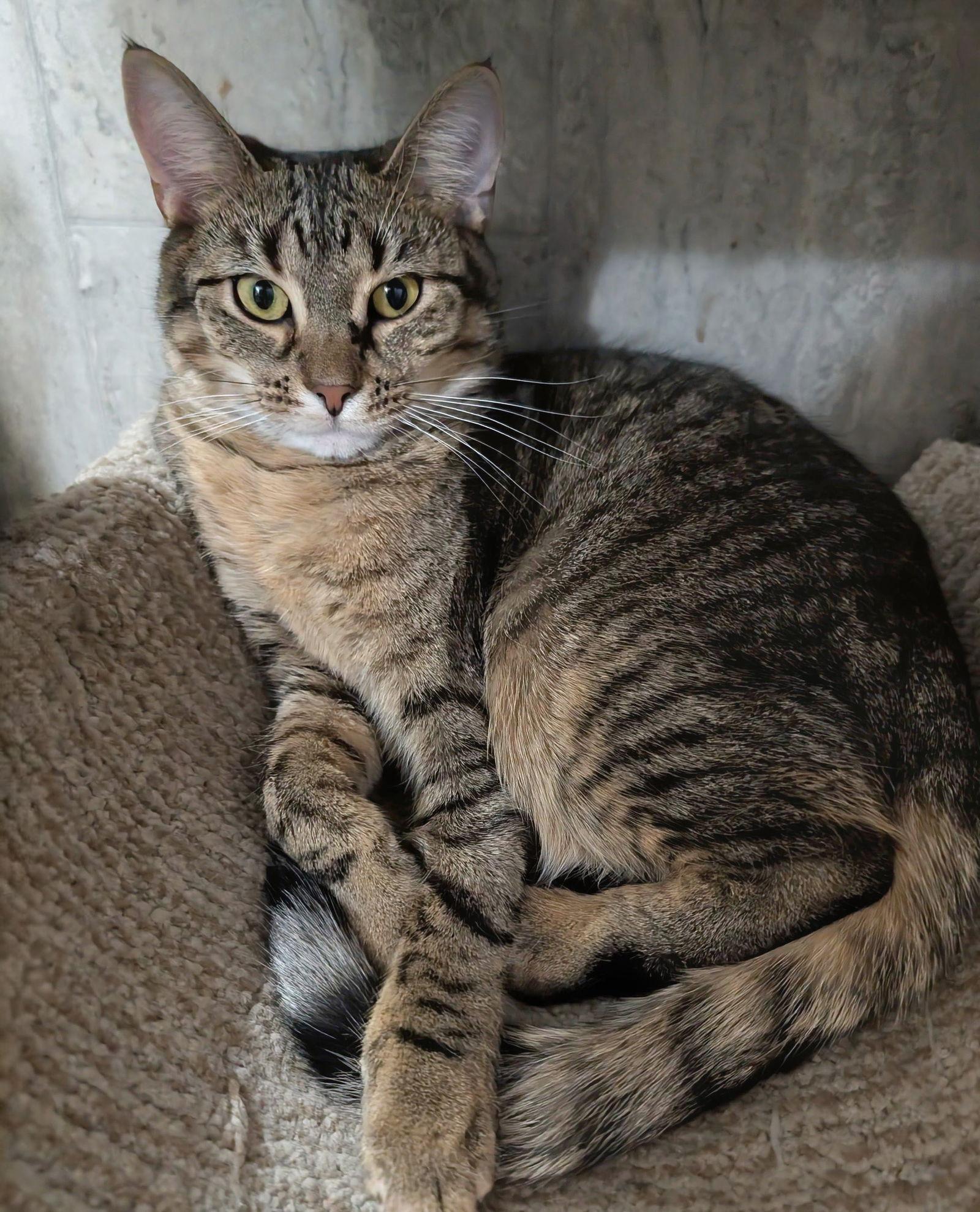 Malarkey — thumbnail 3