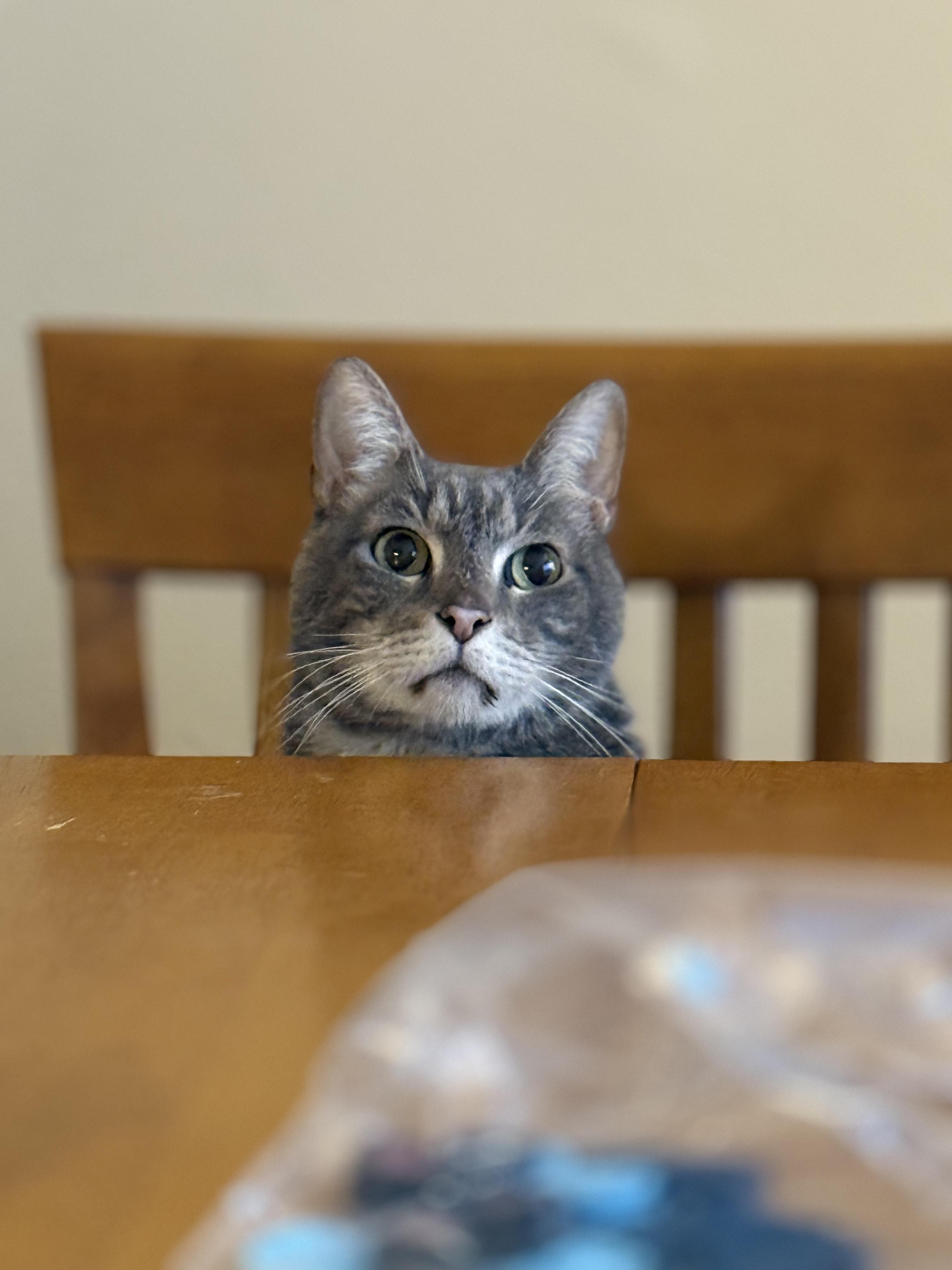 Norris (In a Foster Home)