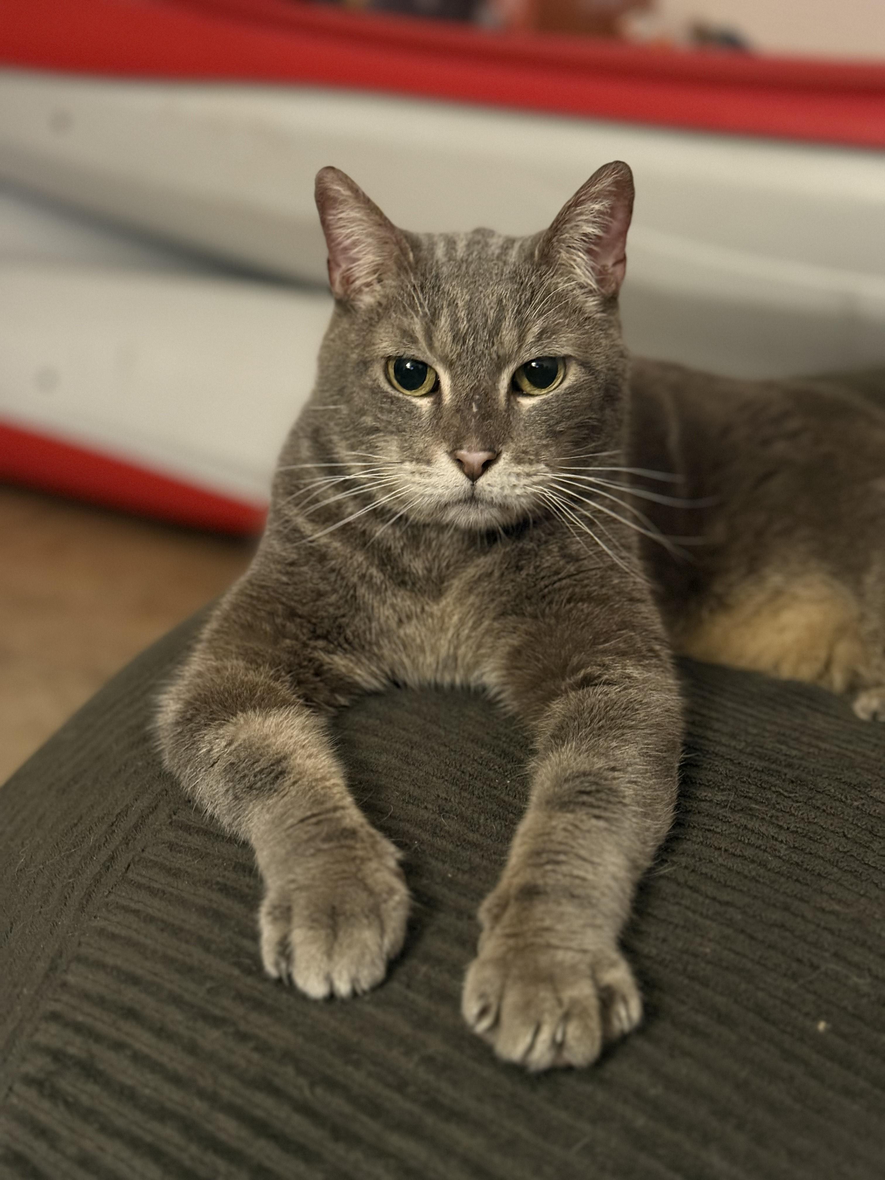 Norris (In a Foster Home)
