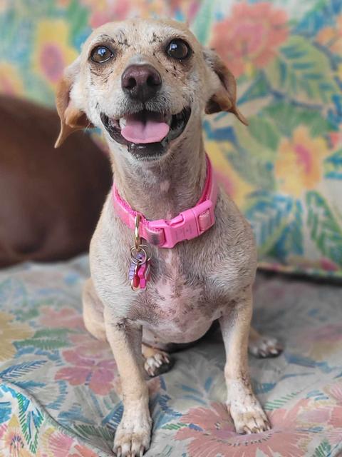 Angeline thumbnail 5