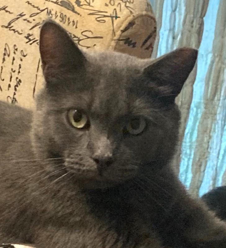 Pablo