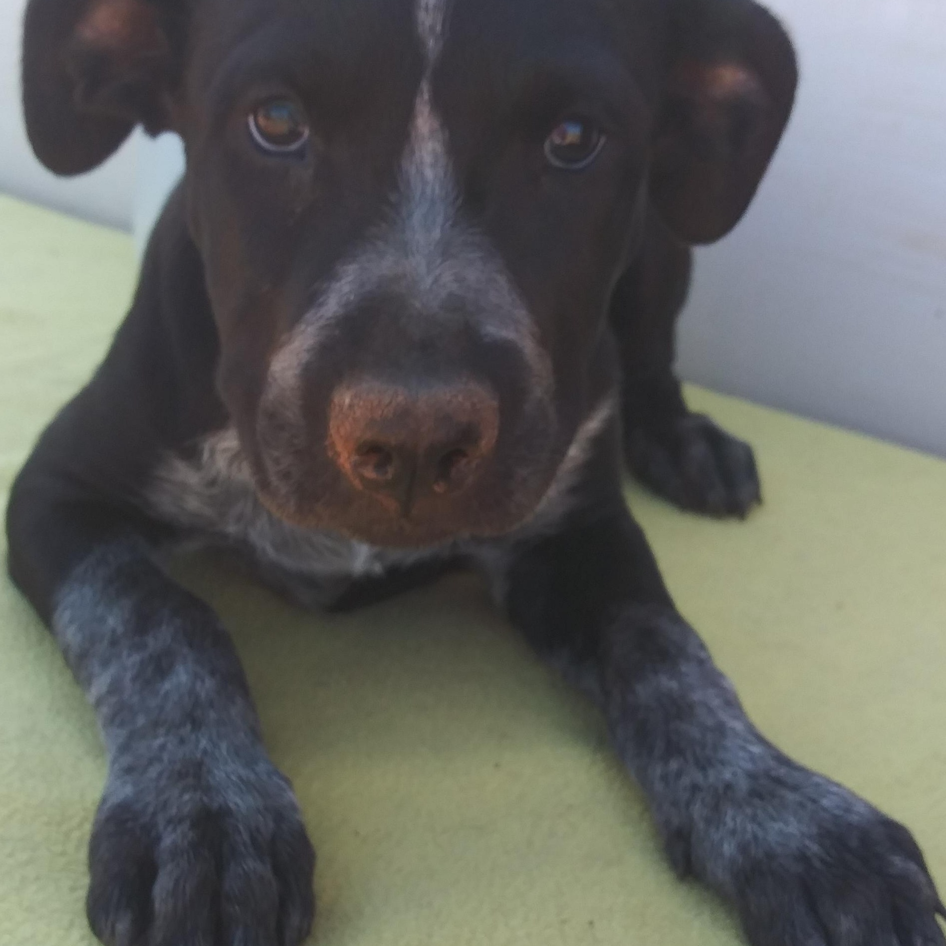 Sparkle — thumbnail 2