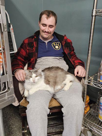 Enlarge MK, a Adoptable mixed breed in Shawano, WI image 2/2