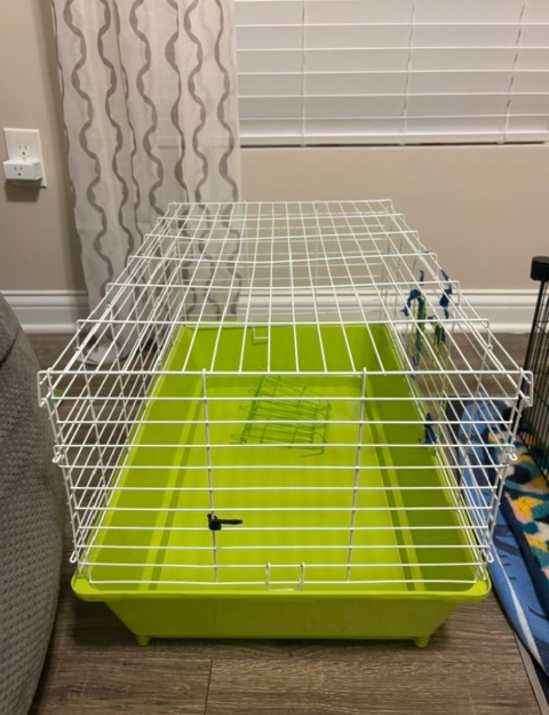 Peppa and baby (Courtesy Post), a ADOPTABLE Guinea Pig in West Chester, OH image 5/5
