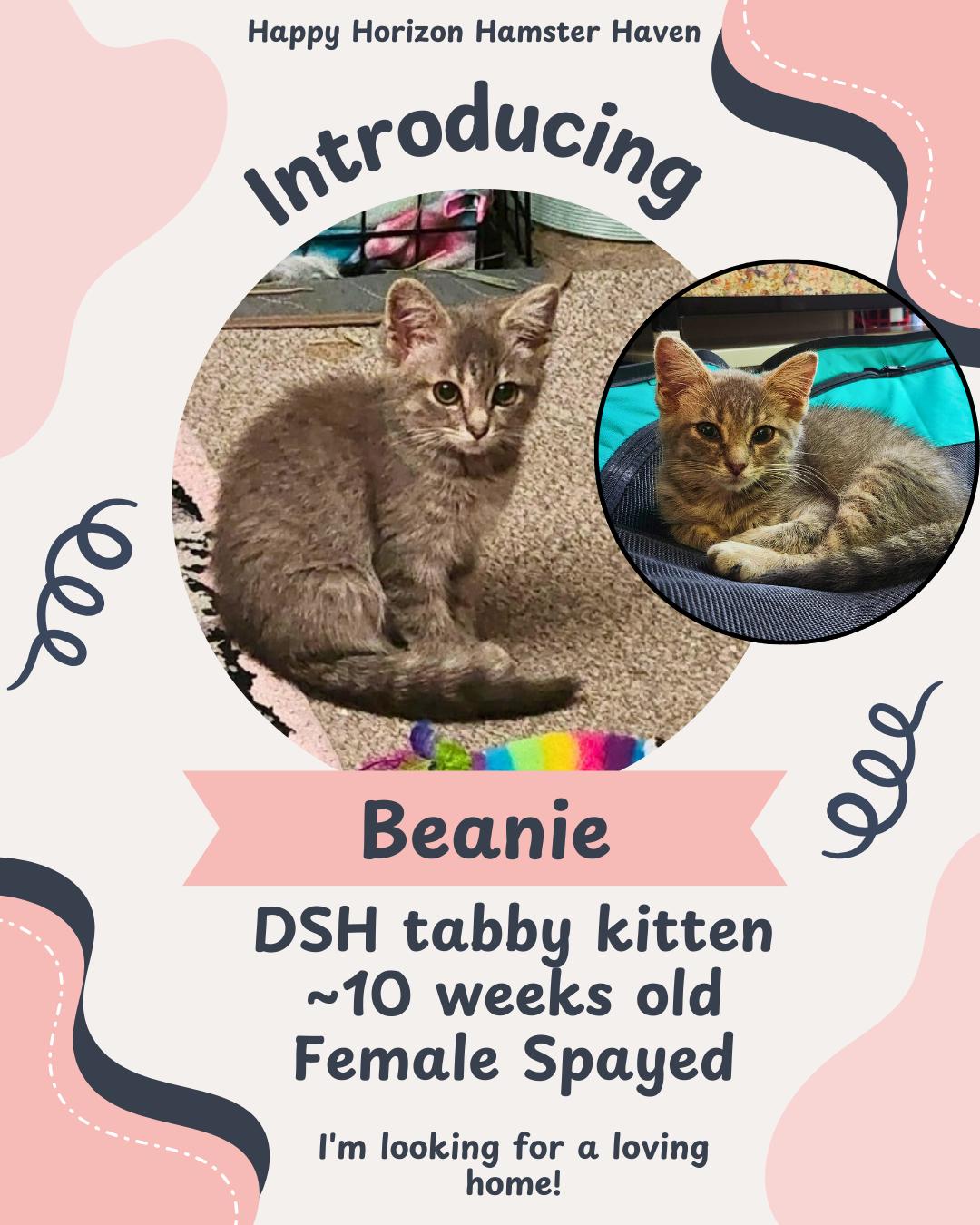 Beanie Baby