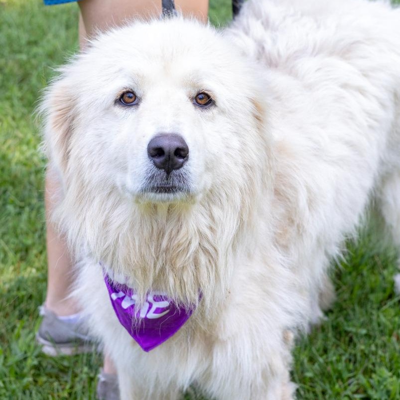 Daisey (Female)
