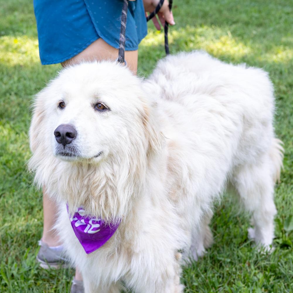 Daisey (Female)