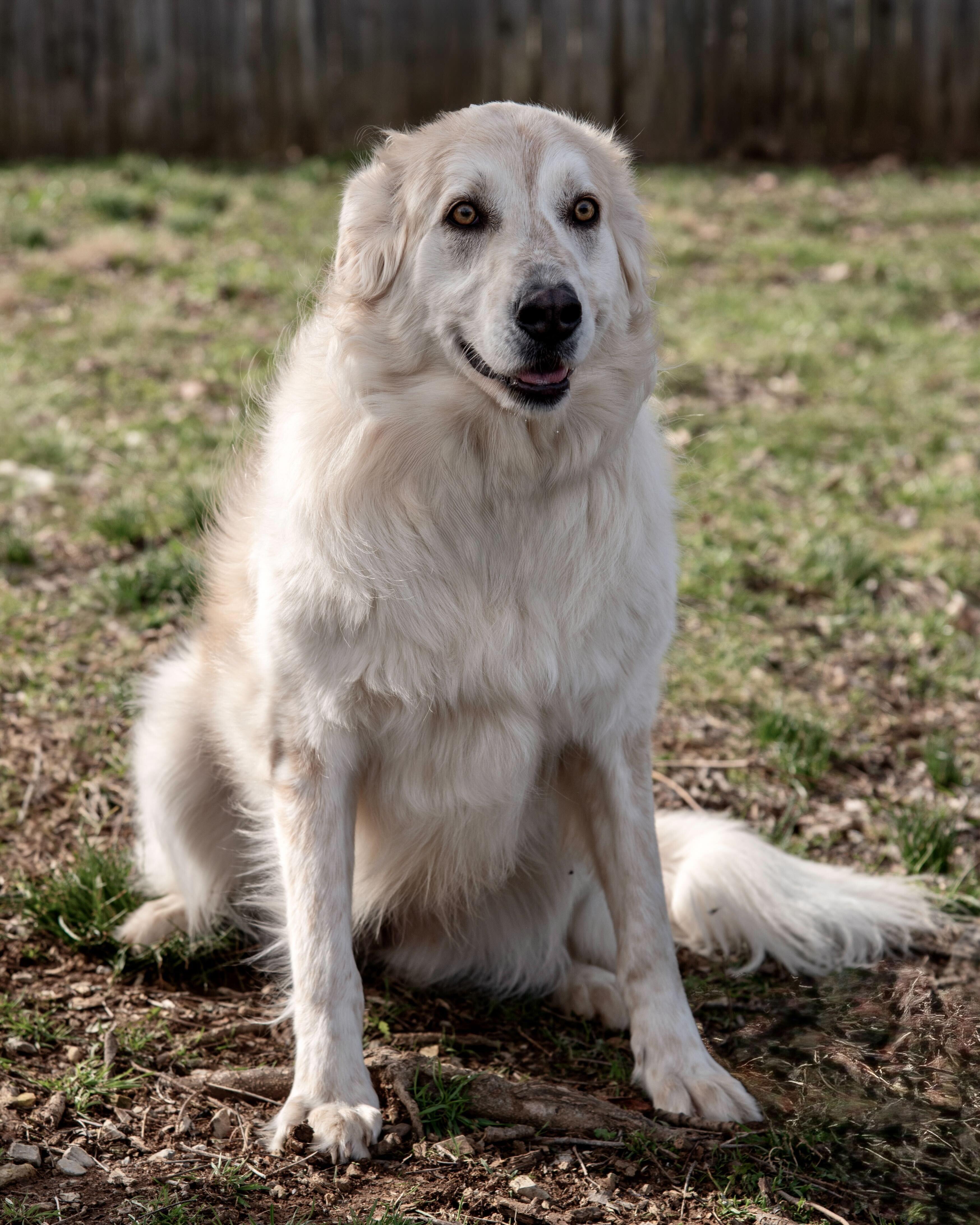 Sasha photo 3