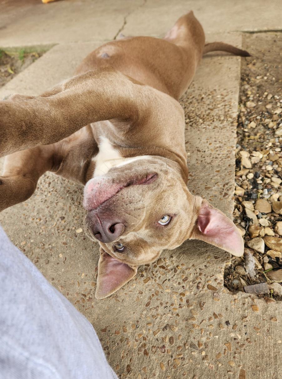 Vanna — thumbnail 3