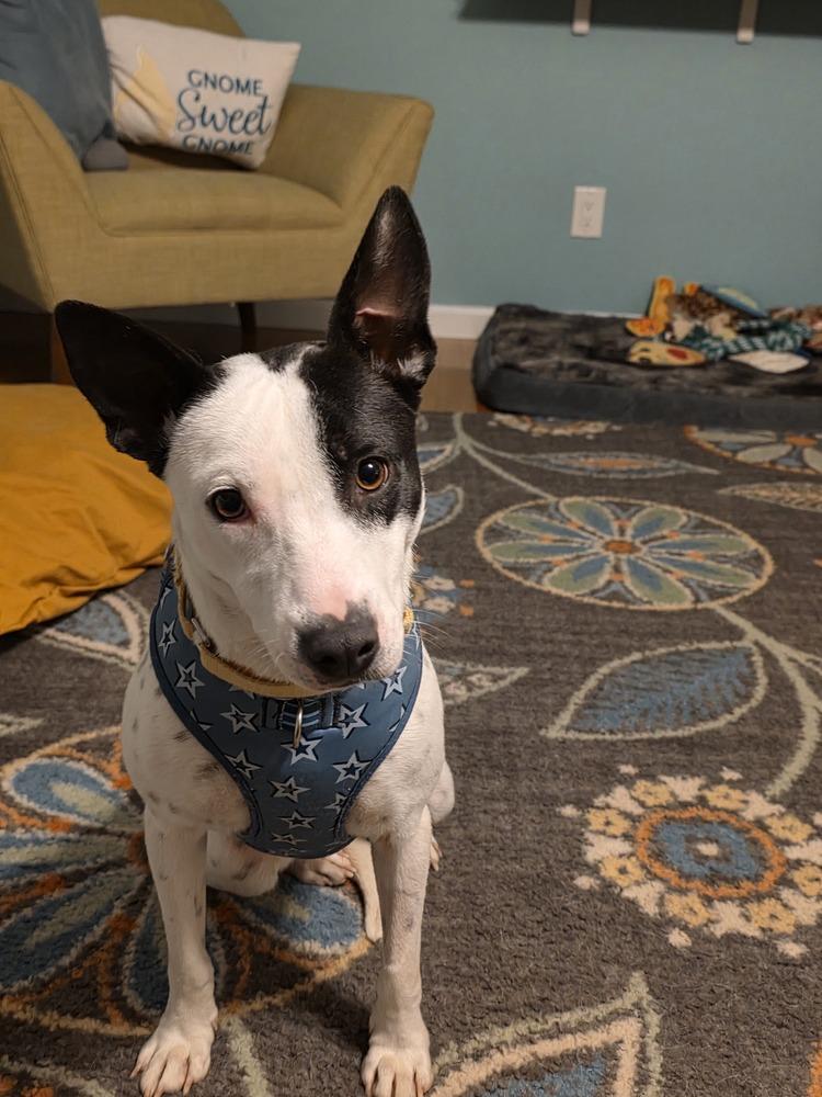 Haven — thumbnail 2