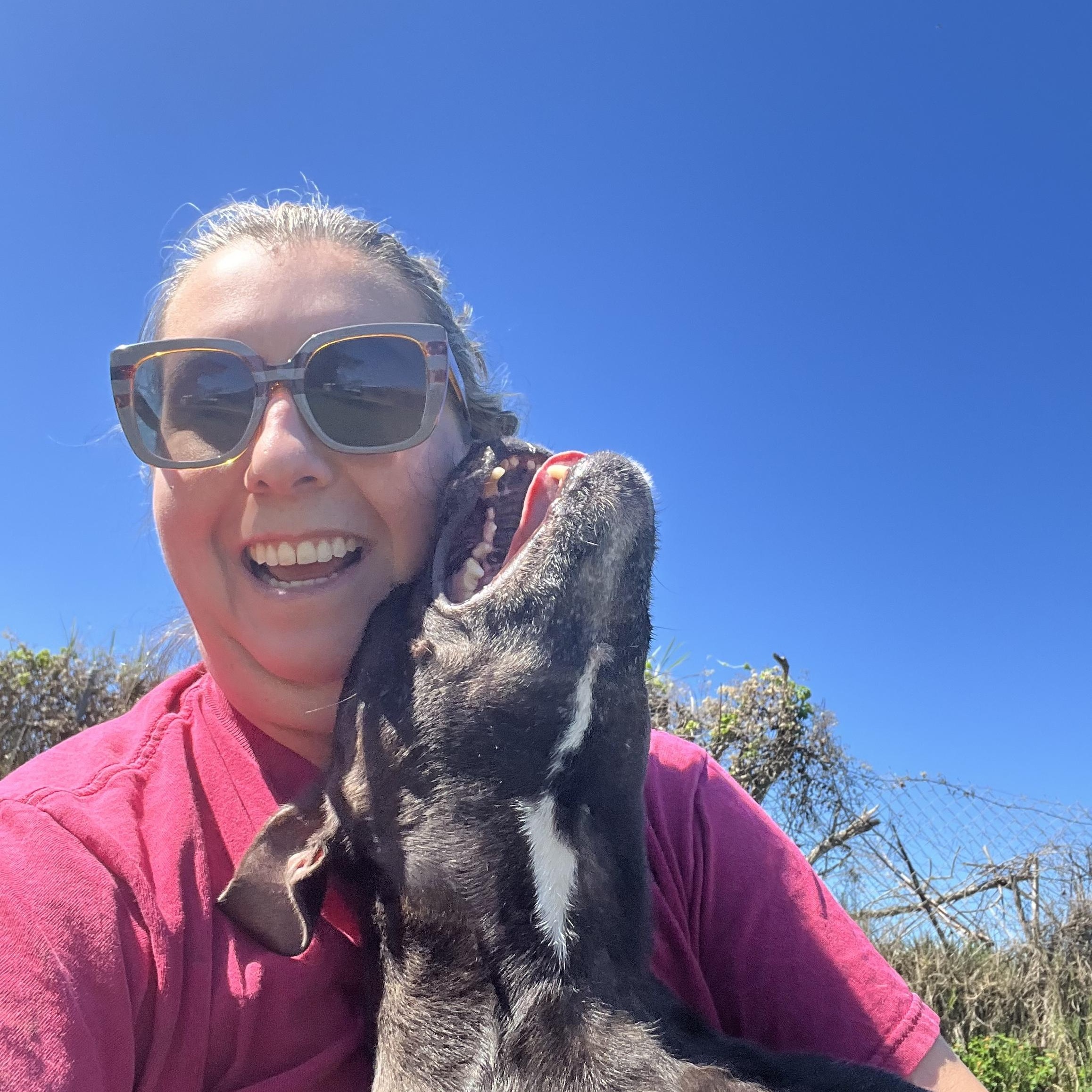 Enlarge Lola, a Adoptable mixed breed in palm bay, FL image 2/4