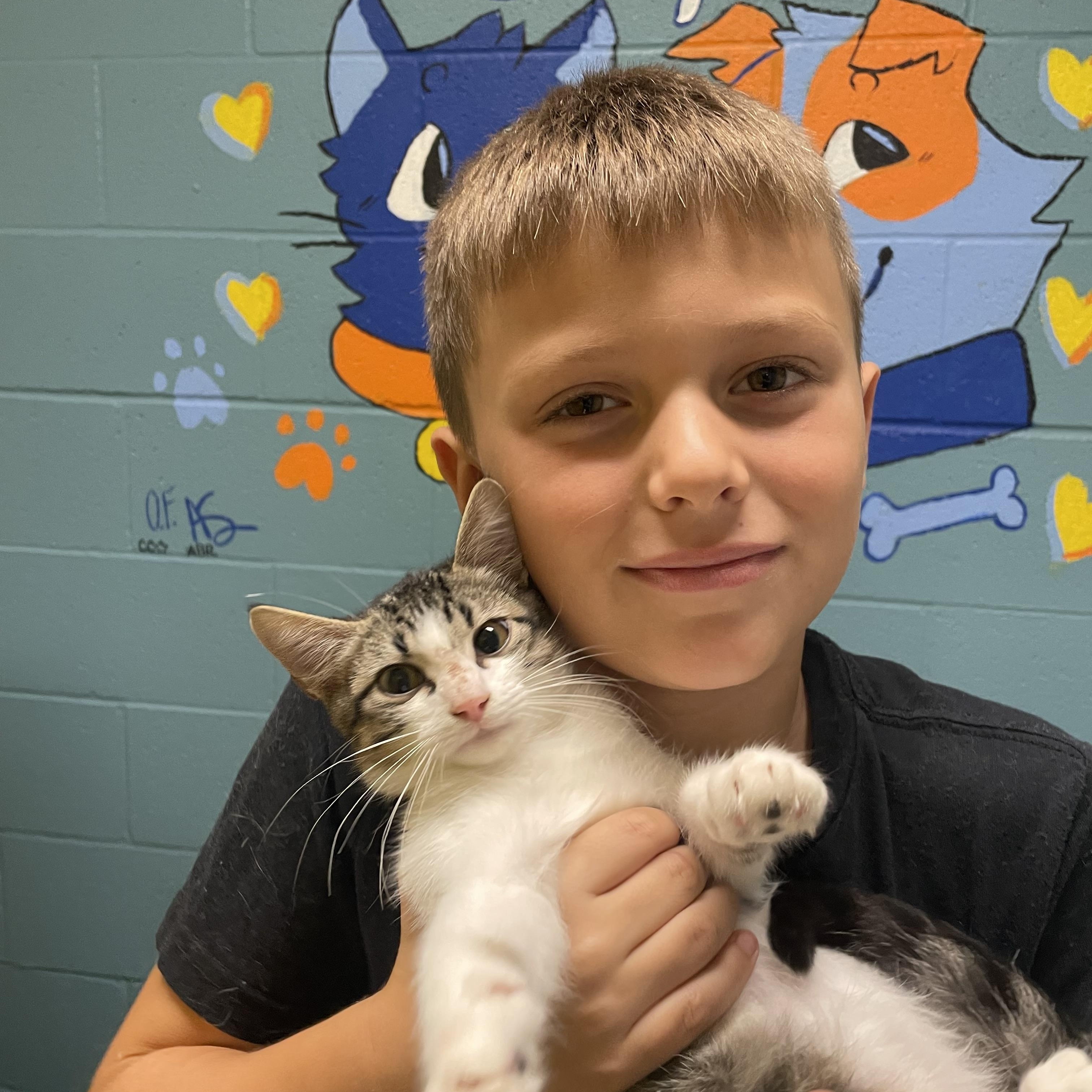 Enlarge Bryan, a Adoptable mixed breed in Gladstone, MO image 3/3