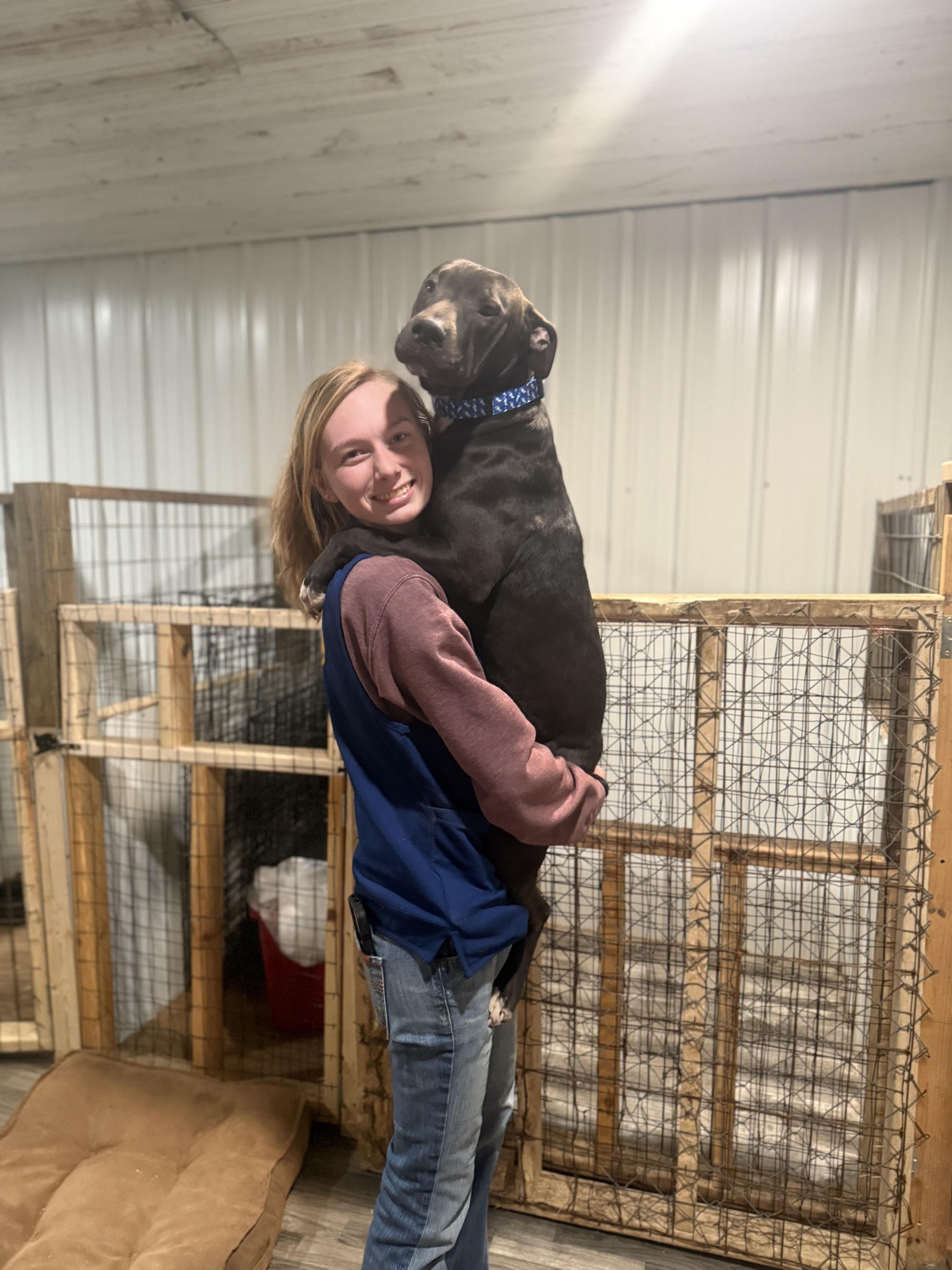 Abel, a ADOPTABLE mixed breed in Linton, IN image 2/3