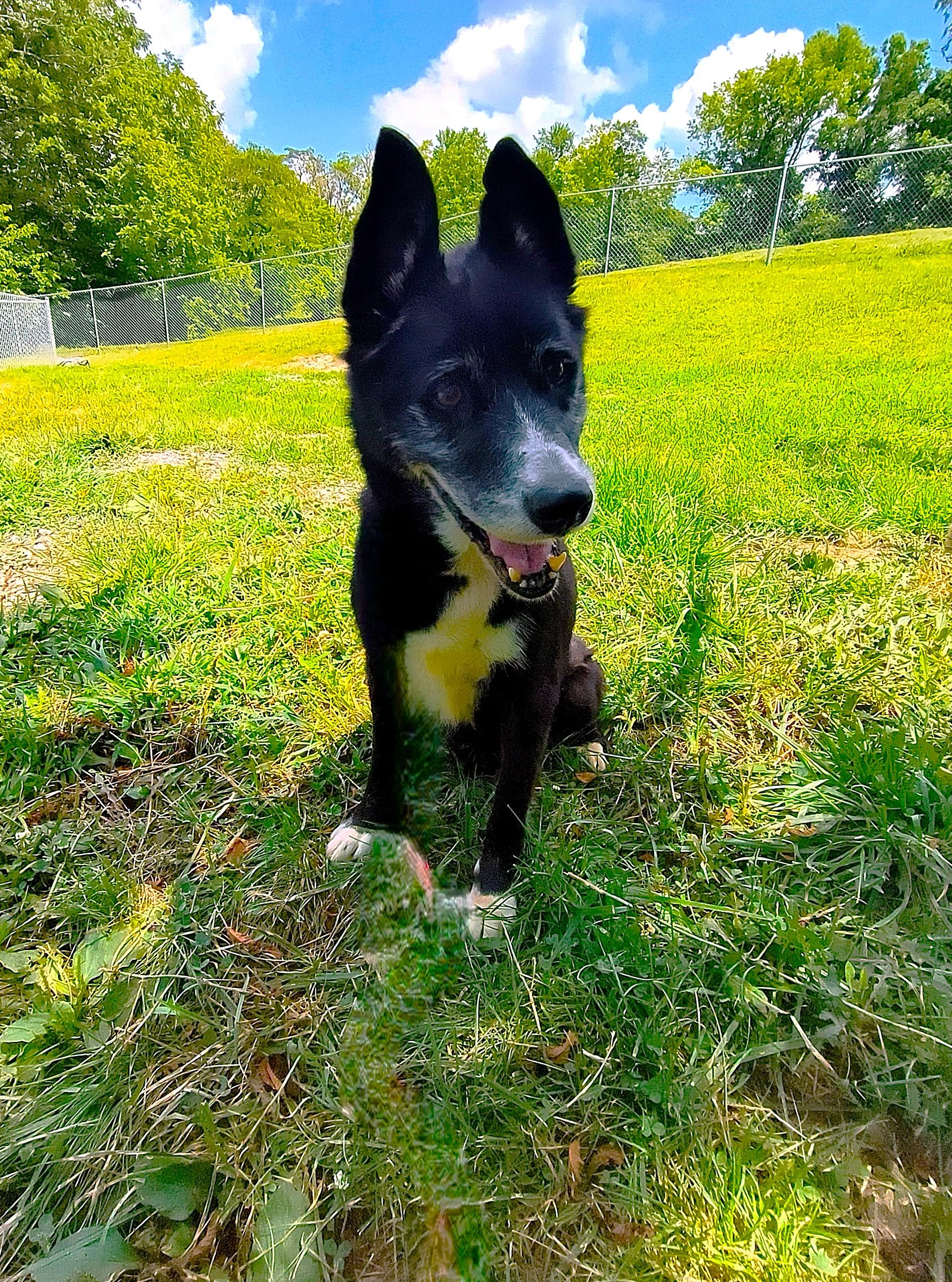 Jack, Senior Male unknown