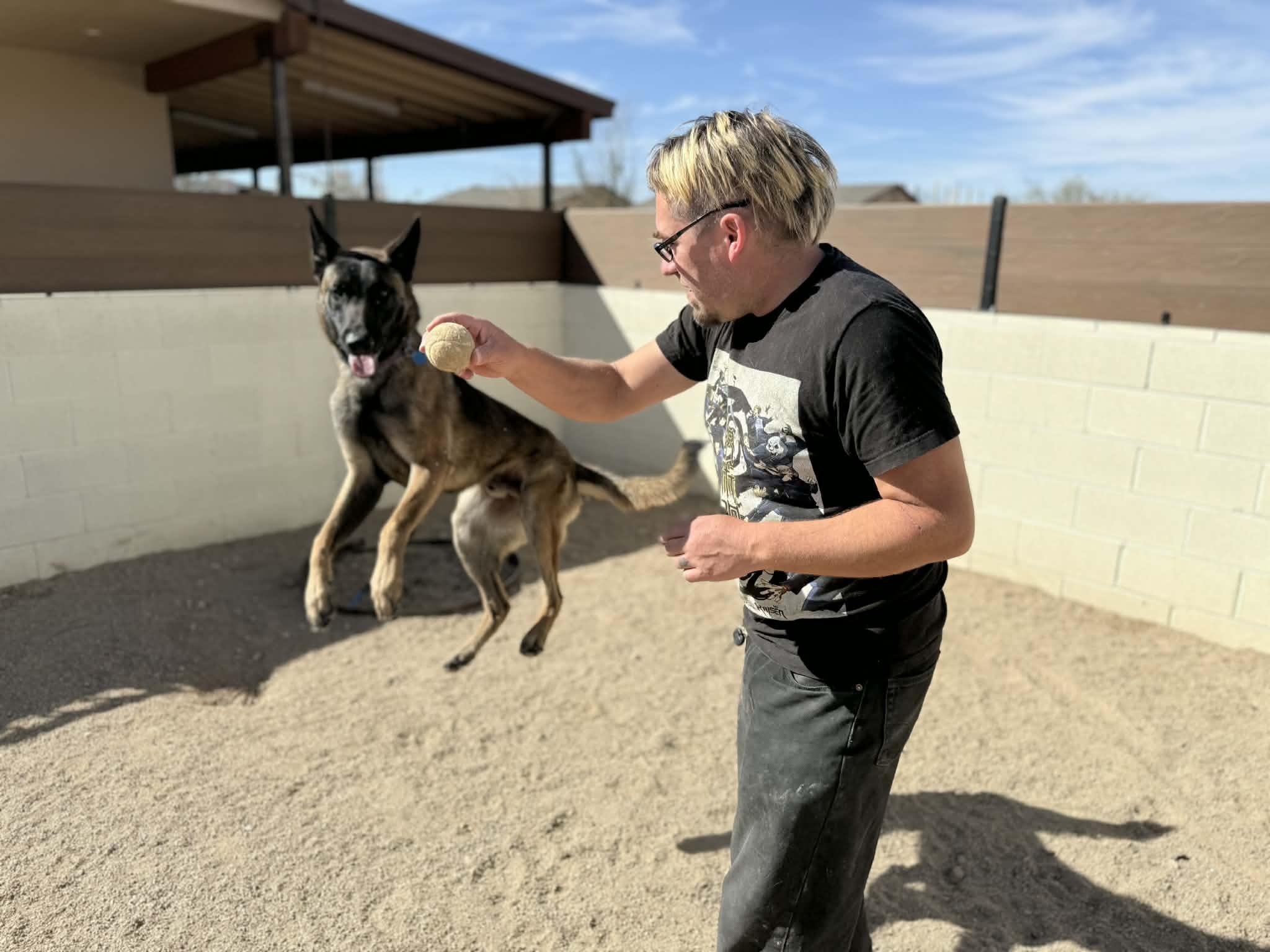 Enlarge Riley, a ADOPTABLE mixed breed in Glendale, AZ image 1/5