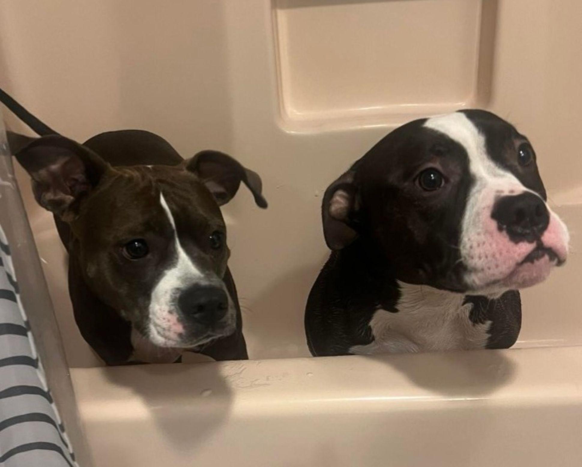 Mr. Bean thumbnail 3