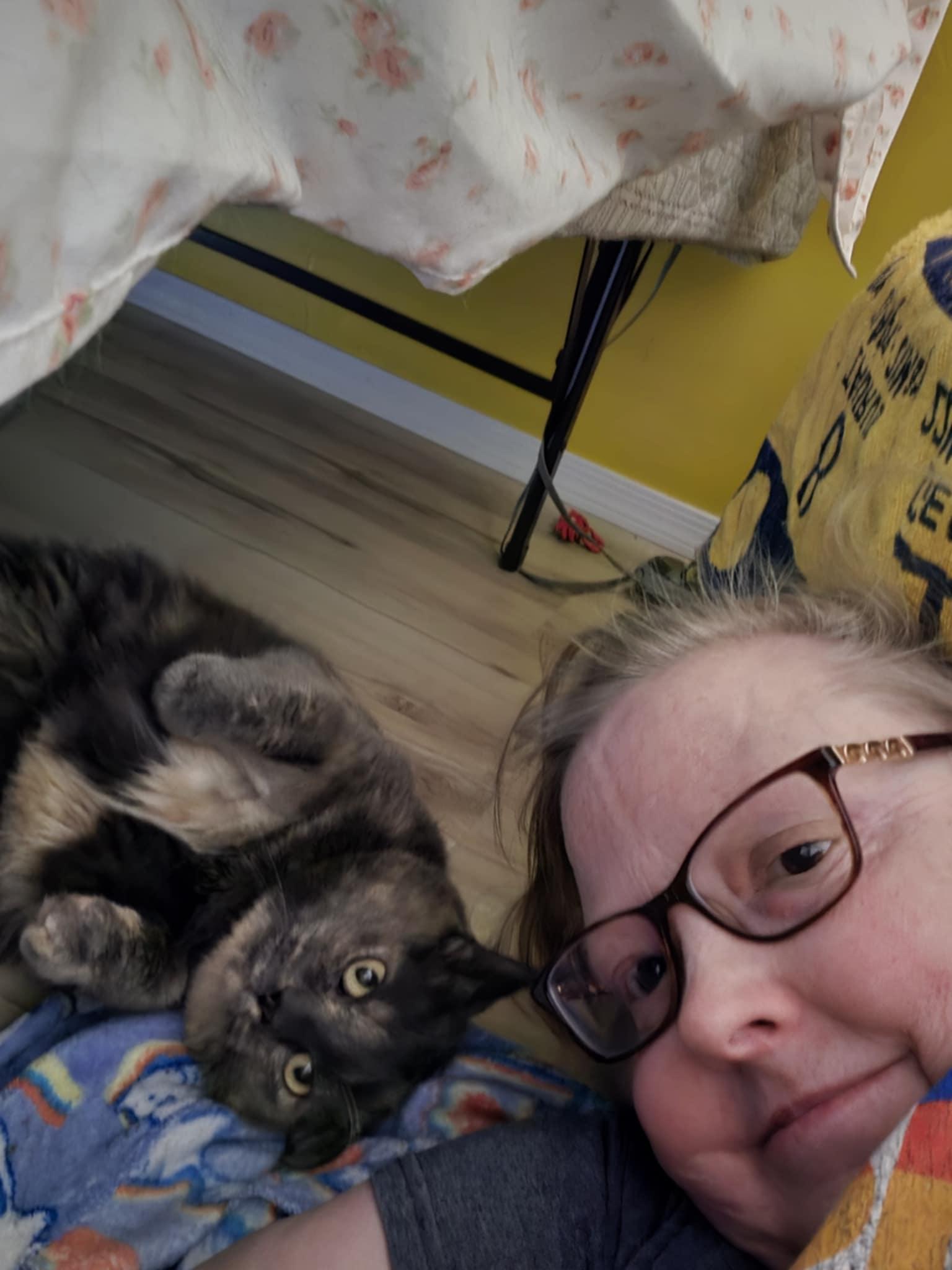 Enlarge Lexi, a Adopted mixed breed in Sierra Vista, AZ image 2/6