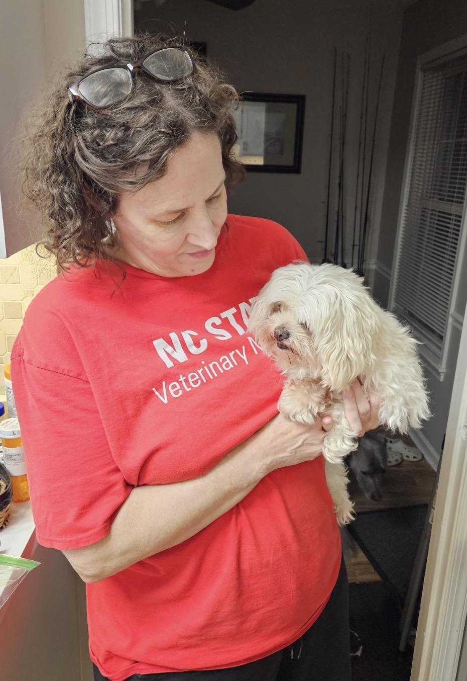 Enlarge Lacey, a Adoptable Maltese in Angier , NC image 3/6