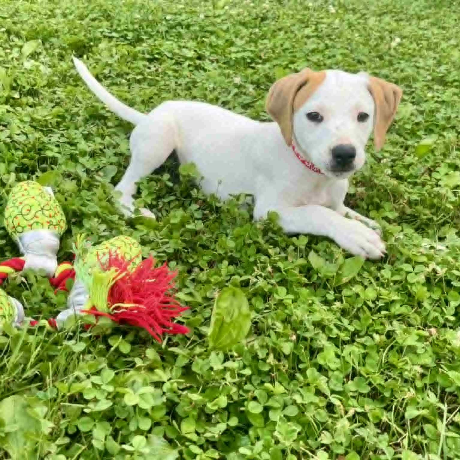 Photo of Cassie