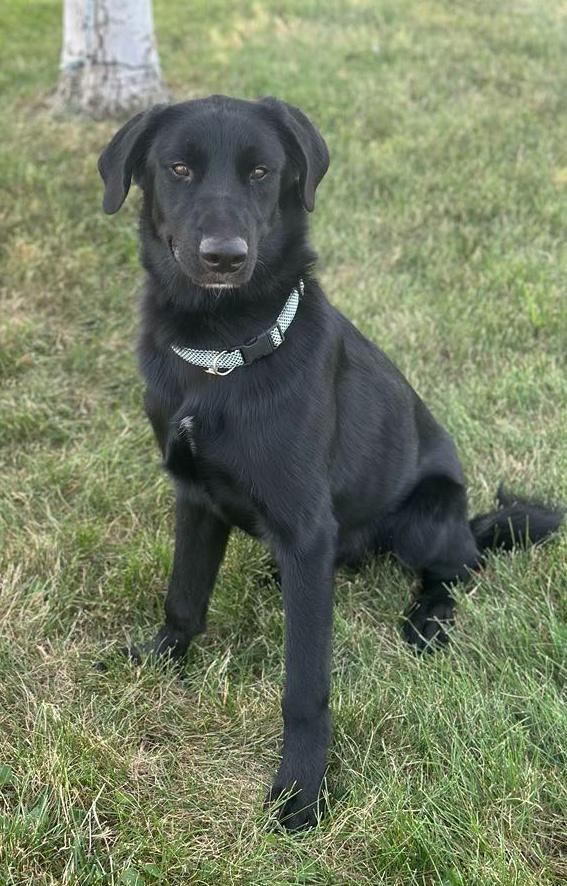 Aries, Young Male unknown