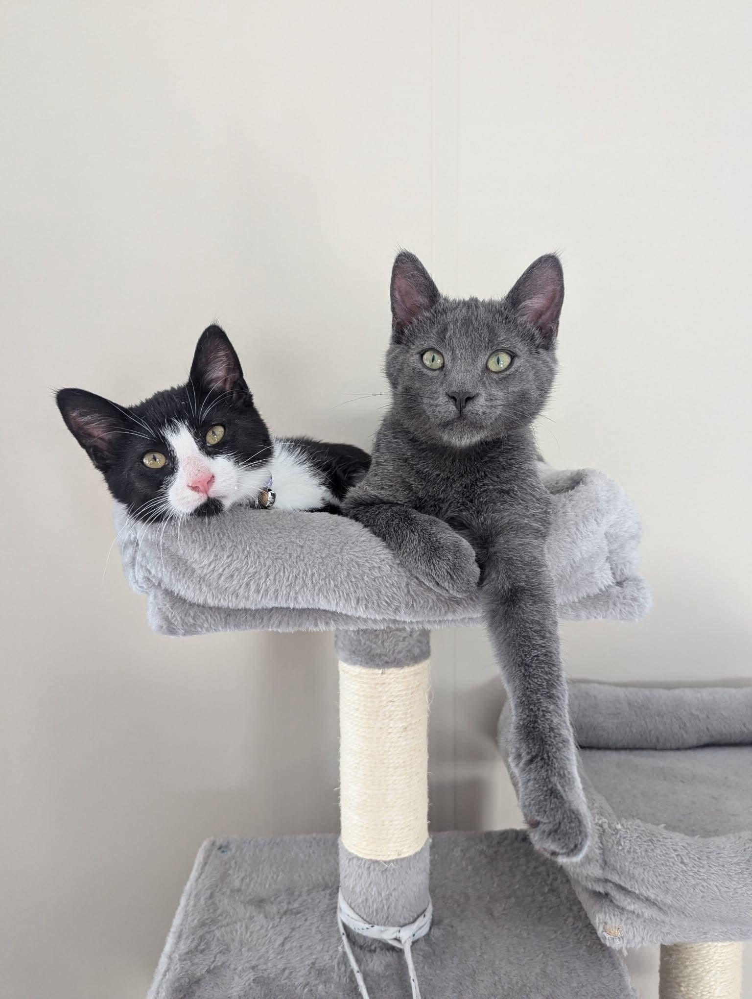 MELVIN & MIA