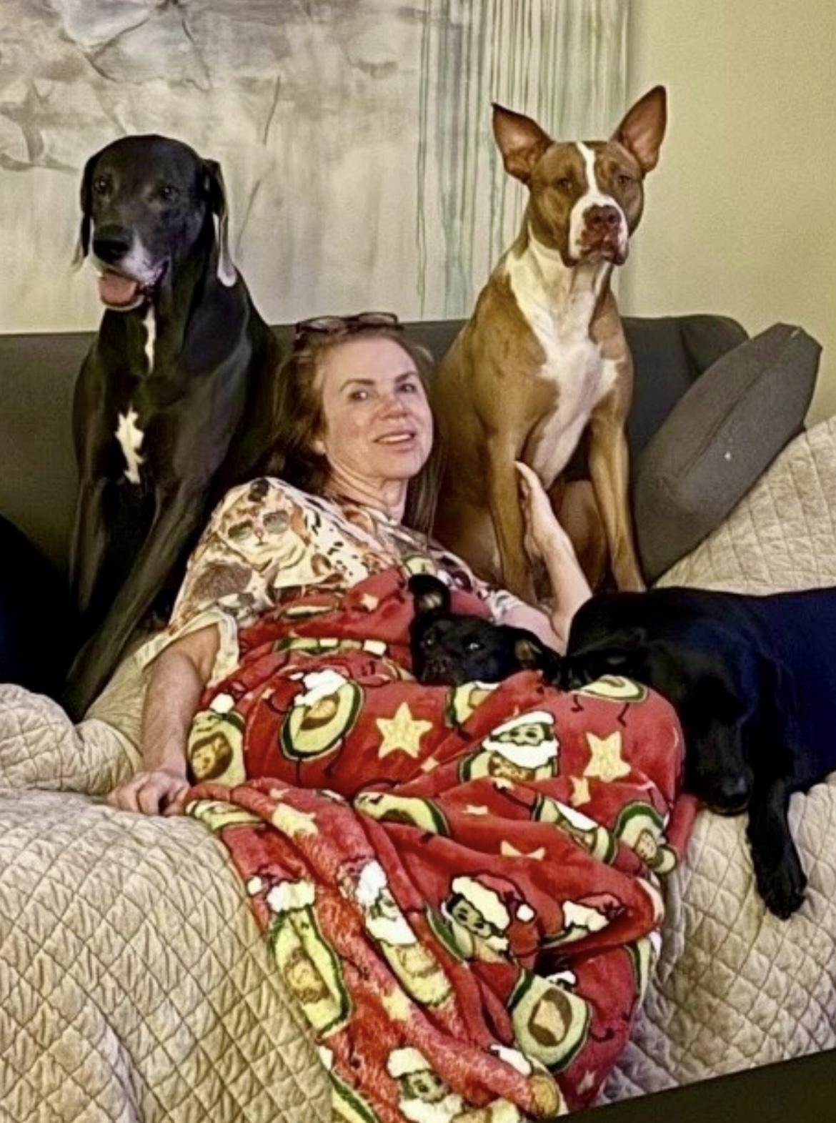 Enlarge TATER, a ADOPTABLE mixed breed in Media, PA image 4/4