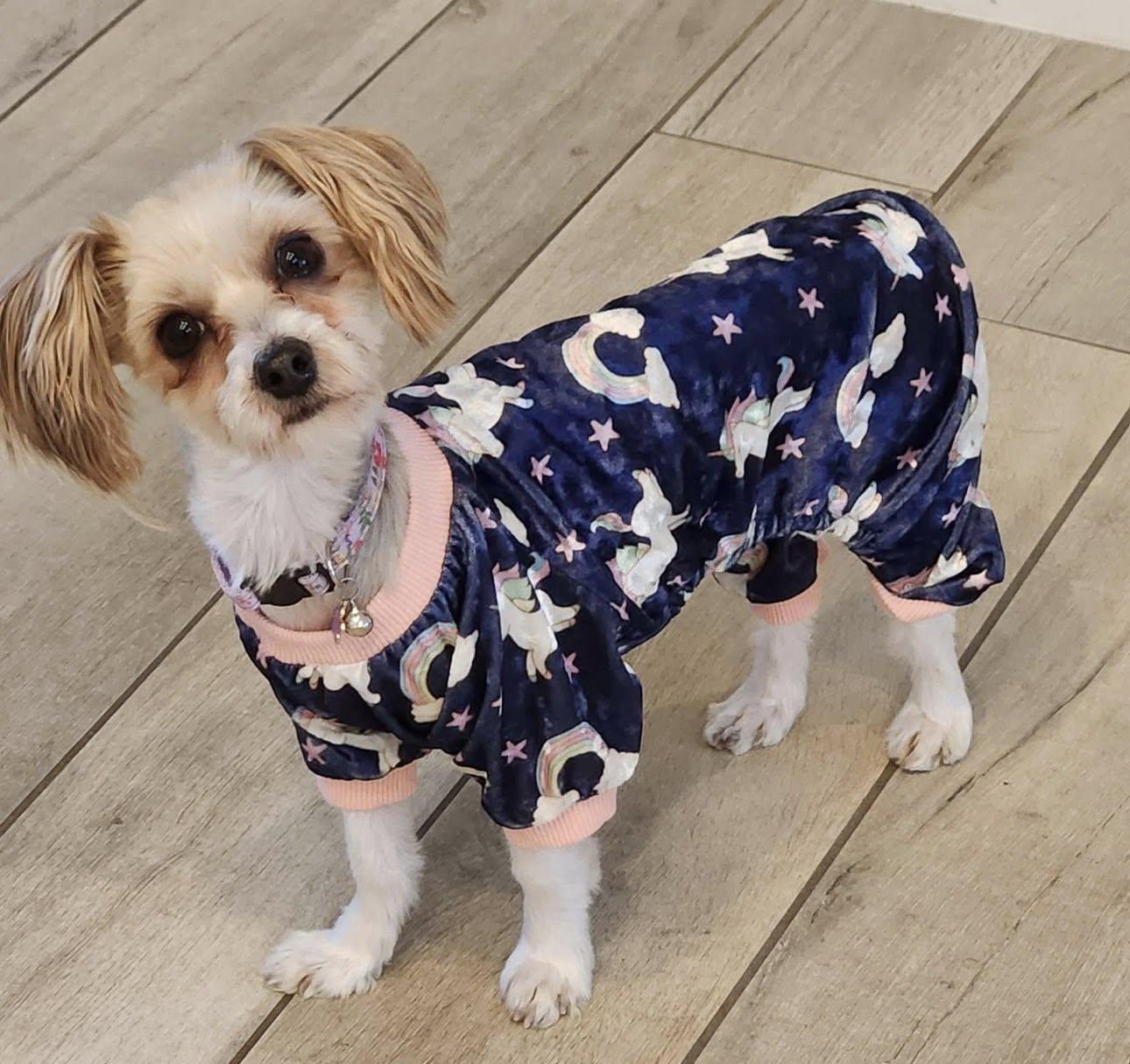 Enlarge Pearl, an adopted mixed breed in Henderson, NV image 3/5