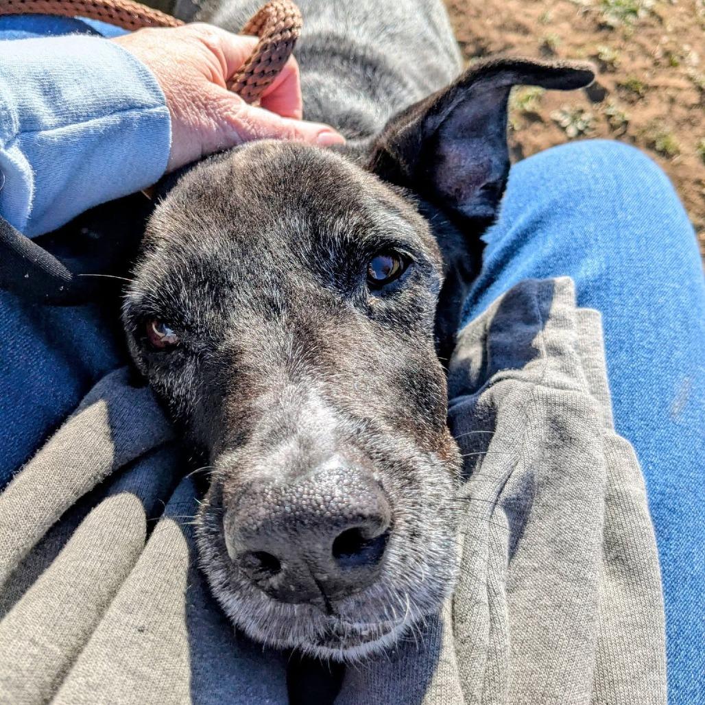 Pebbles — thumbnail 3