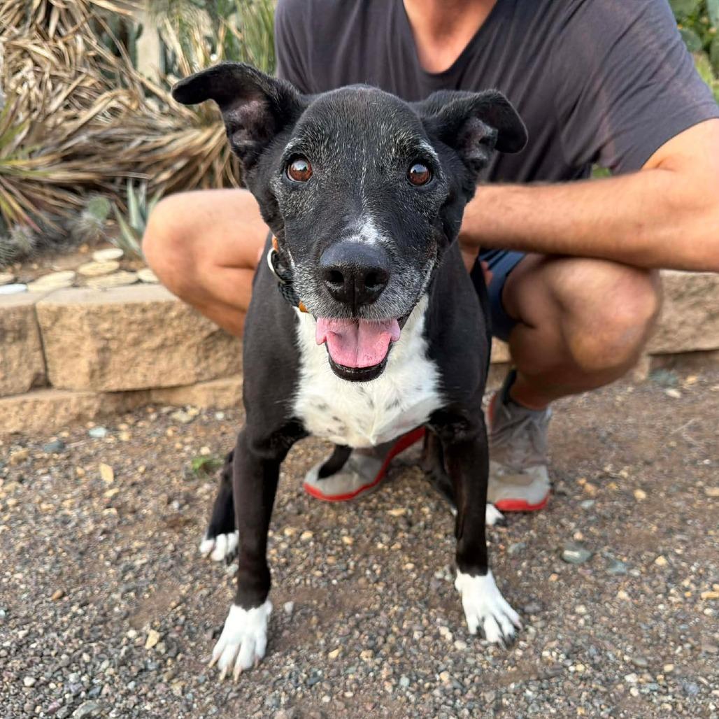 Pebbles — thumbnail 4