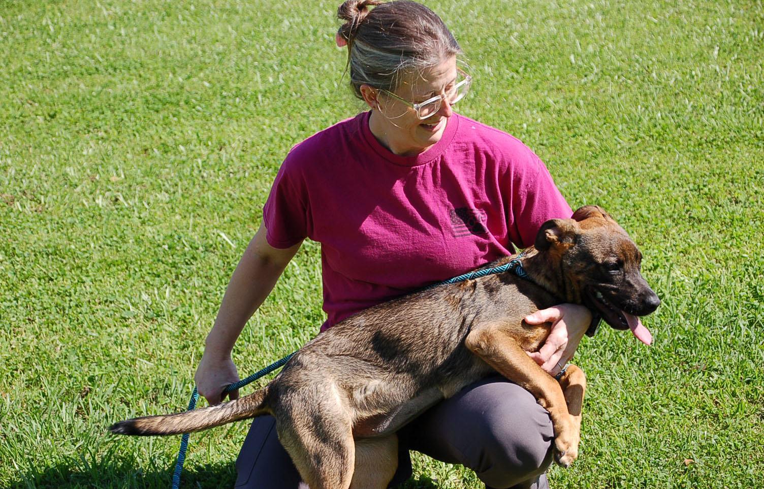 DAISY AD 05-30-25, a Adopted German Shepherd Dog in Preston, CT image 5/5