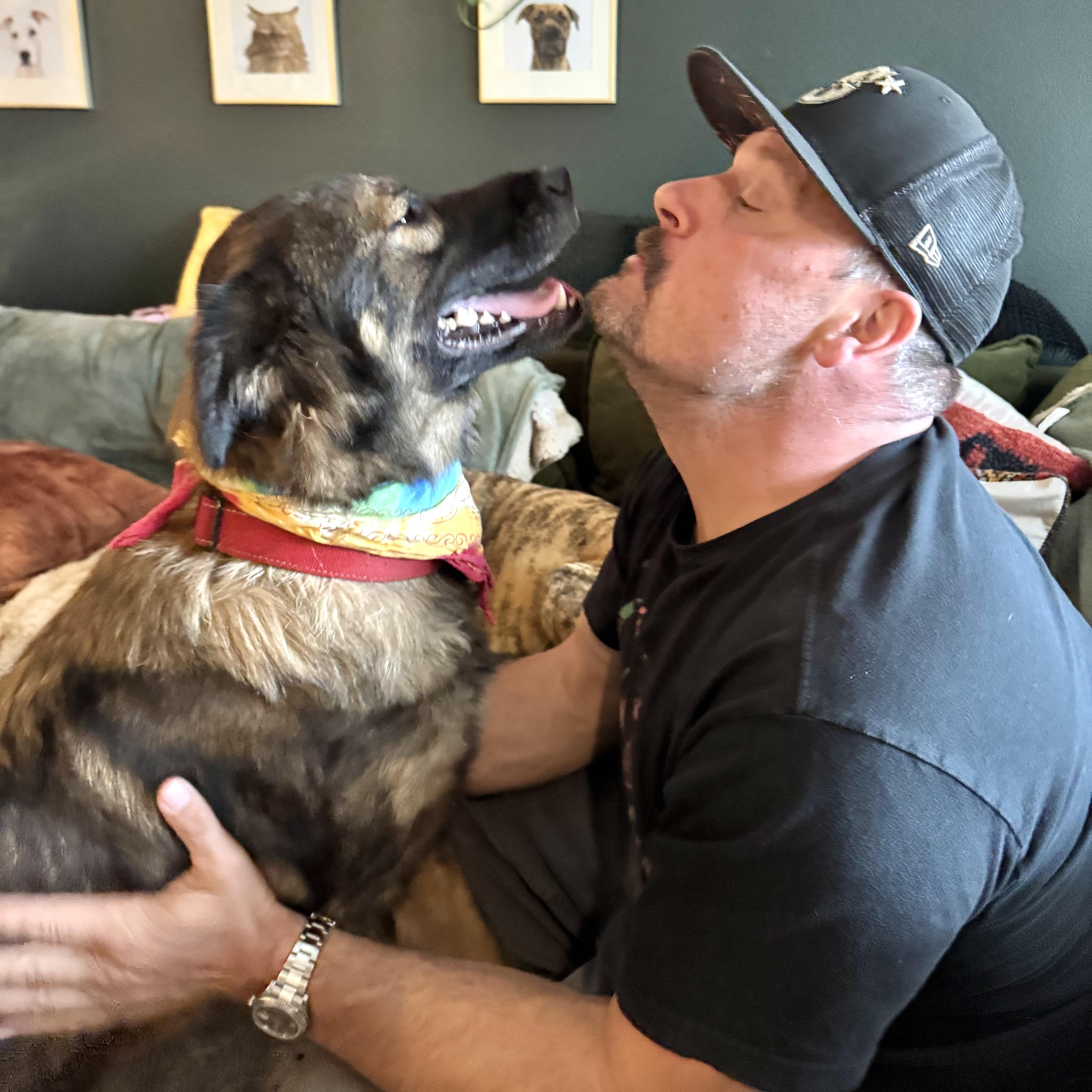 Enlarge Gemma, a Adoptable mixed breed in Bellingham, WA image 5/6