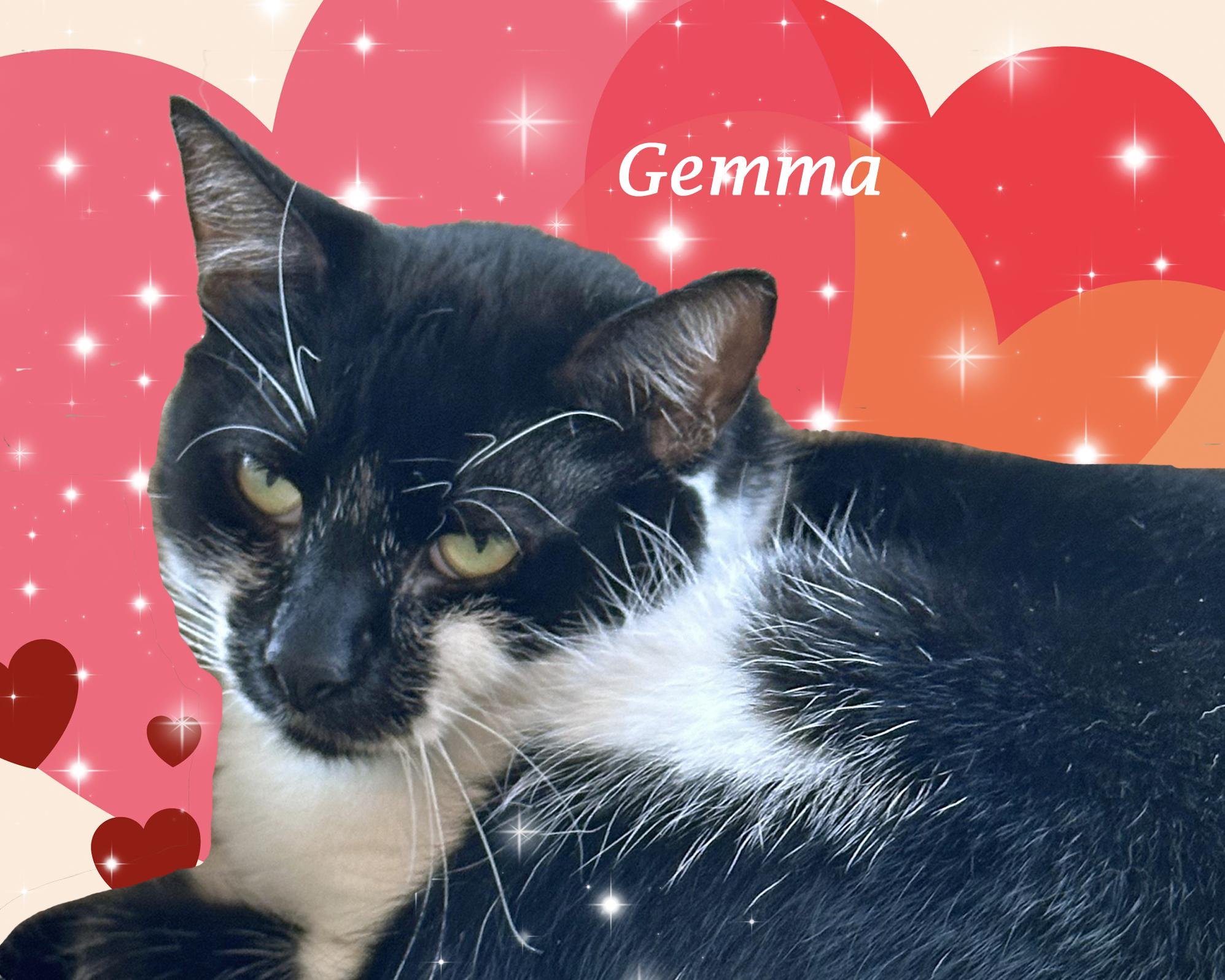 GEMMA