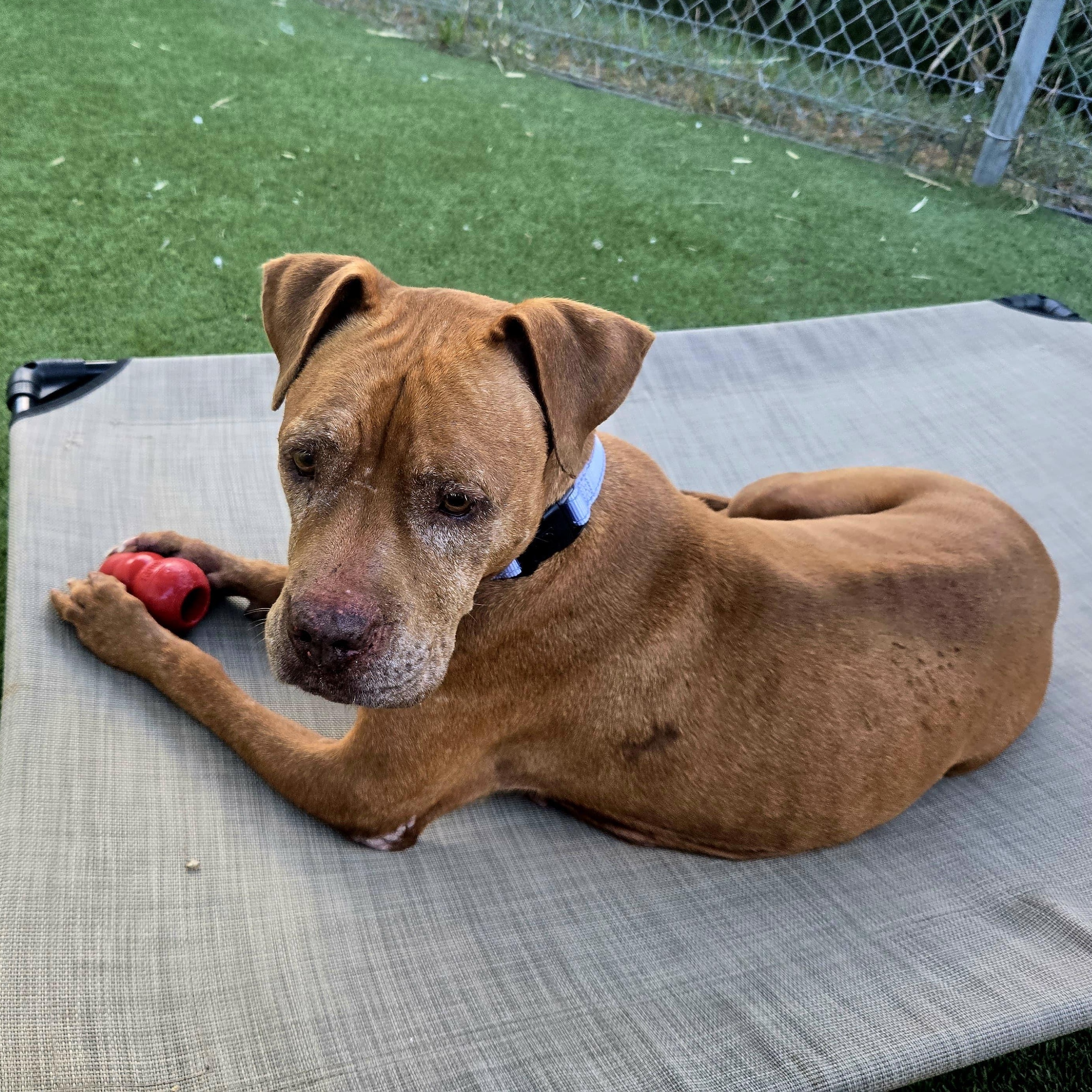 Cider — thumbnail 5