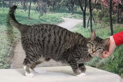 Marnie Piper — thumbnail 2