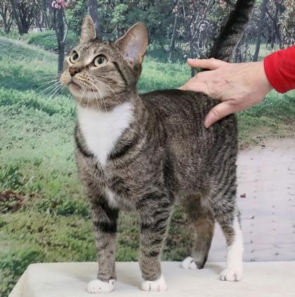 Marnie Piper — thumbnail 3