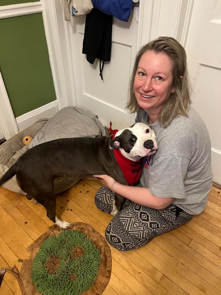 Ygritte, a Adoptable mixed breed in Detroit, MI image 2/6