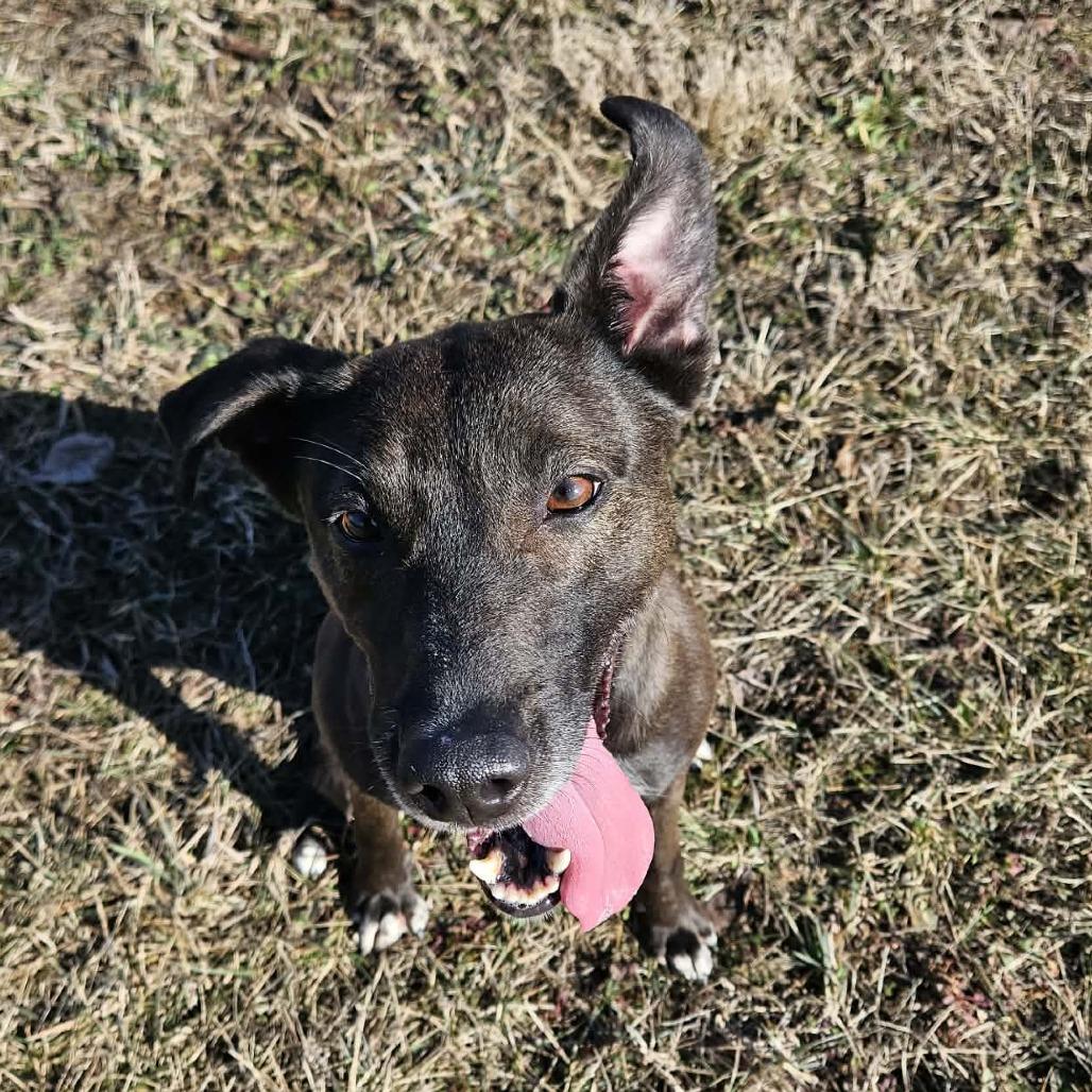 Harlem — thumbnail 2