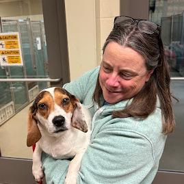 Gouda — thumbnail 2