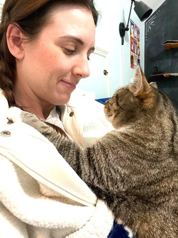 Enlarge TIGER LILLY, a ADOPTABLE Tabby in Pegram, TN image 5/5