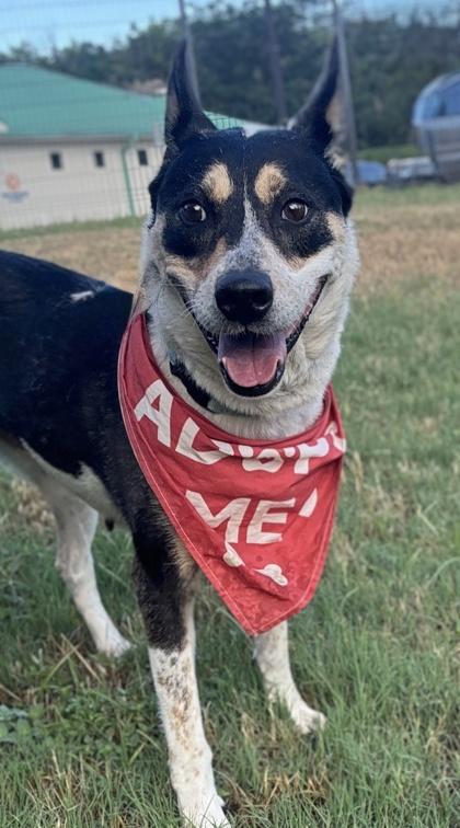 Bonnie — thumbnail 3